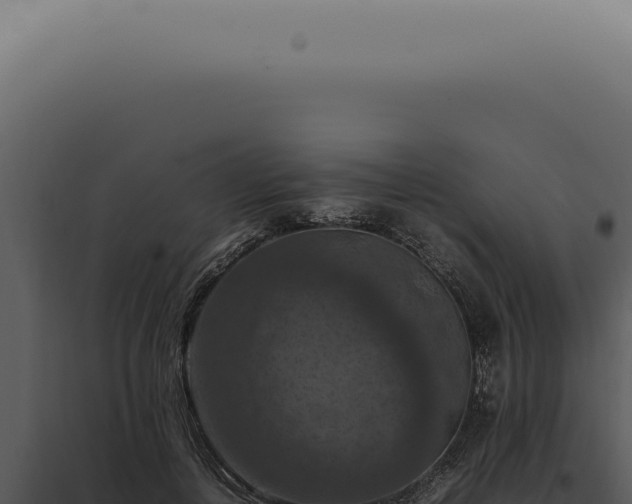 X0000098000648200804011834