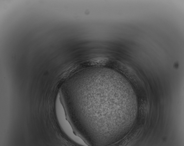 X0000098000649200804011834