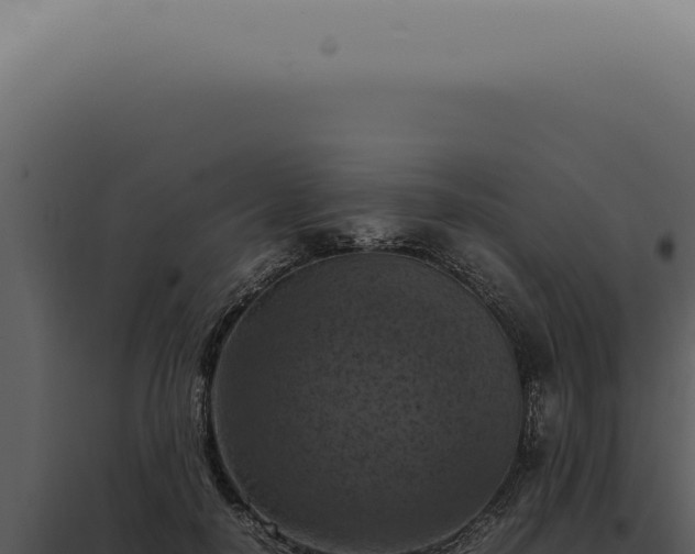 X0000098000650200804011834