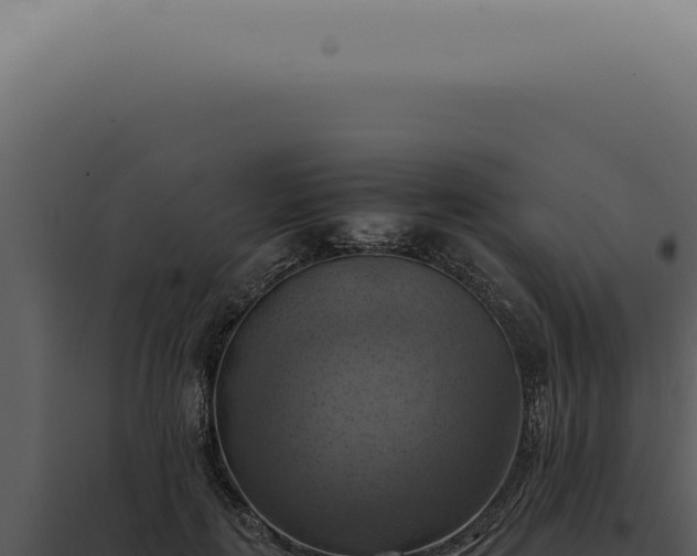 X0000098000651200804011834