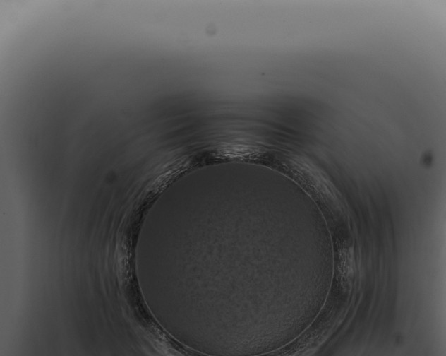 X0000098000653200804011834