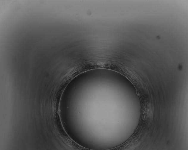 X0000098000656200804011834