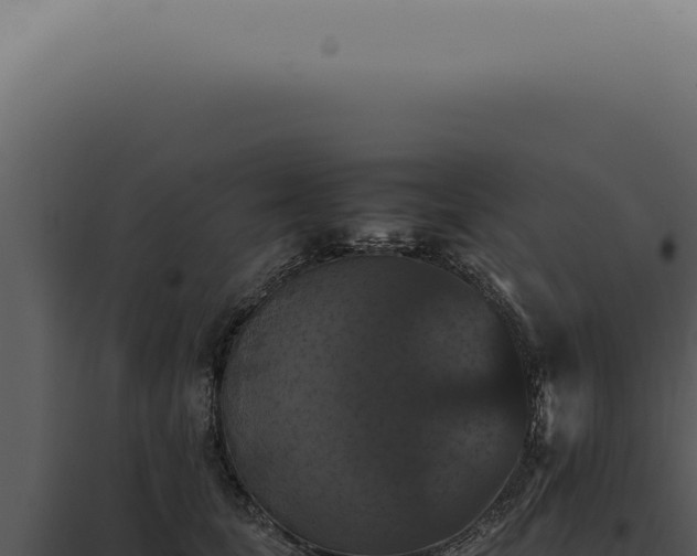 X0000098000659200804011834