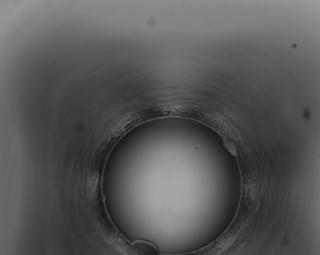 X0000098000660200804011834