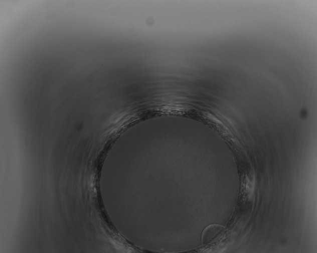 X0000098000663200804011834