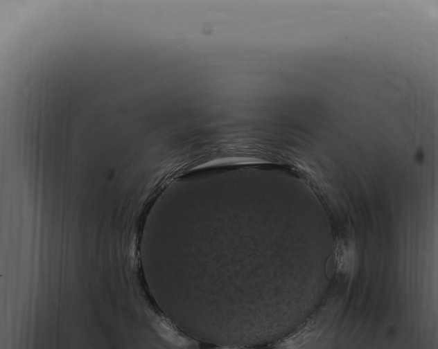 X0000098000670200804011834