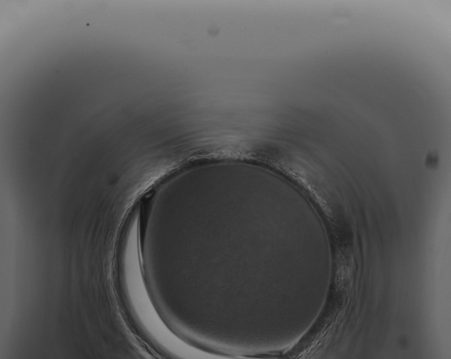 X0000098000677200804011833