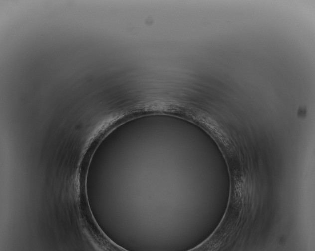 X0000098000678200804011833