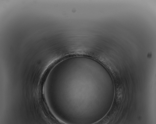 X0000098000680200804011833