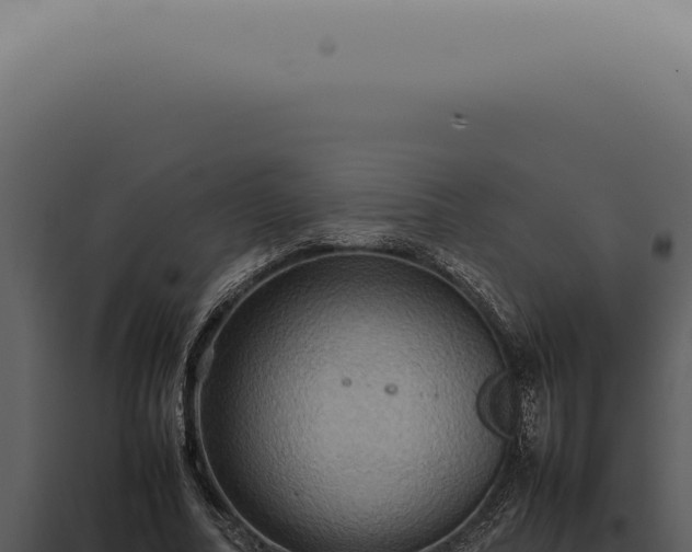 X0000098000682200804011833