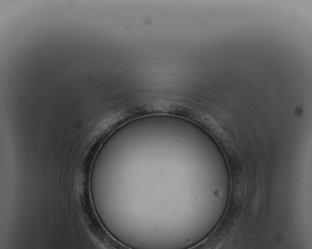 X0000098000683200804011833