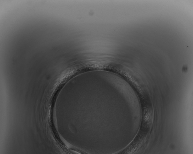 X0000098000685200804011833