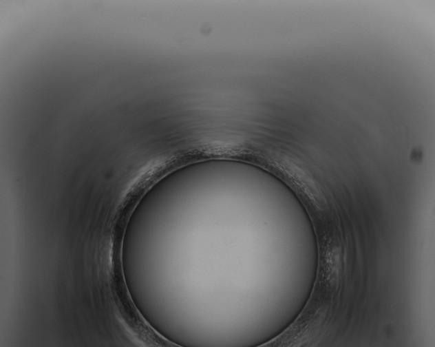 X0000098000686200804011833