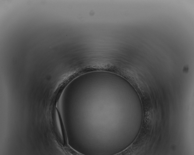 X0000098000688200804011833