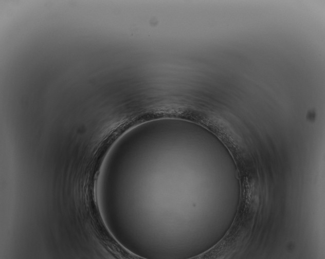 X0000098000692200804011833