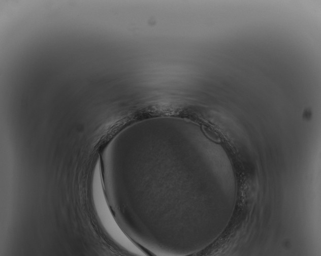 X0000098000693200804011833