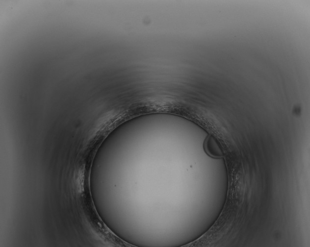 X0000098000694200804011833
