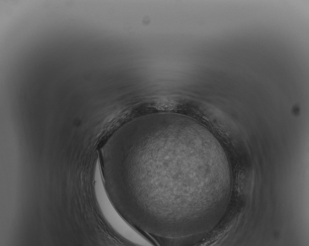 X0000098000697200804011833