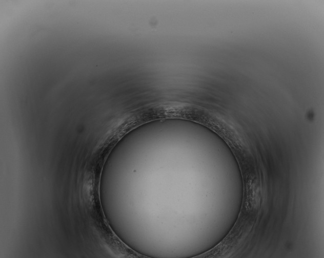 X0000098000698200804011833