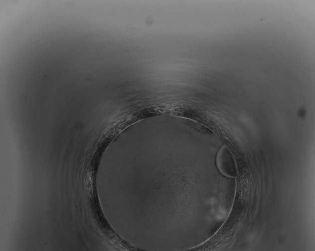 X0000098000699200804011833