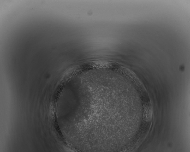 X0000098000701200804011833