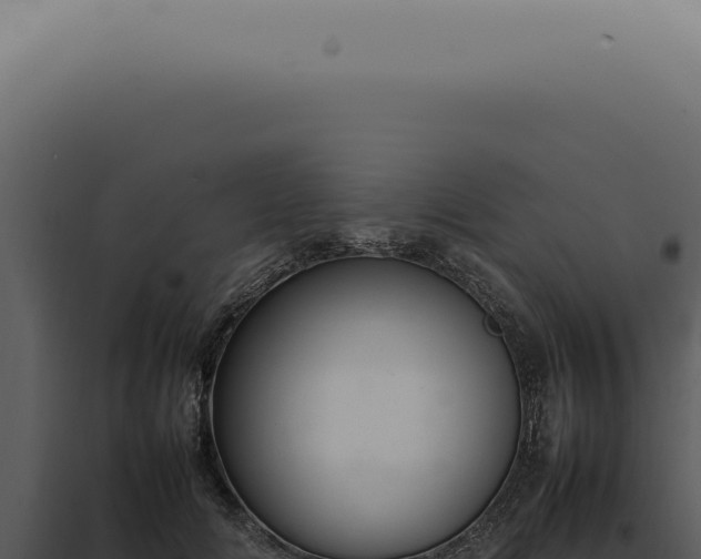X0000098000702200804011833