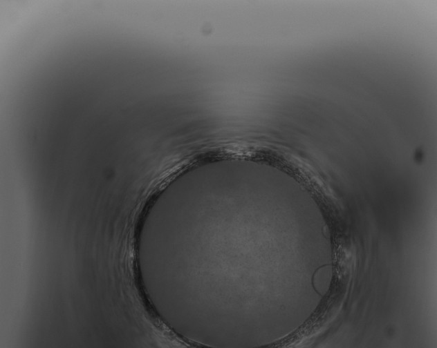 X0000098000707200804011833
