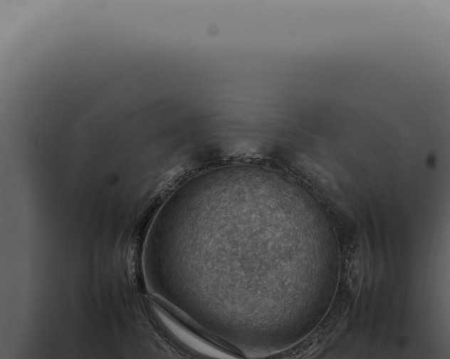 X0000098000708200804011833