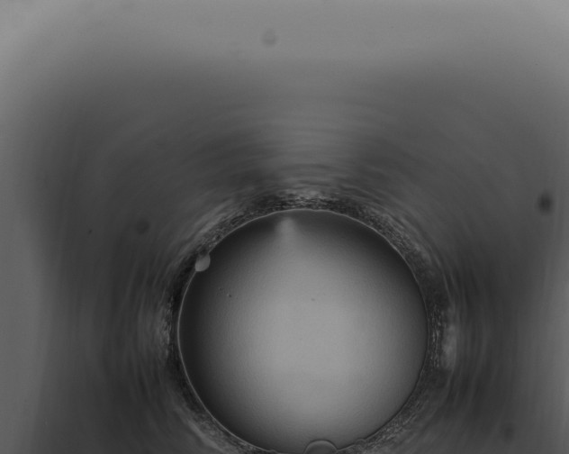 X0000098000710200804011833