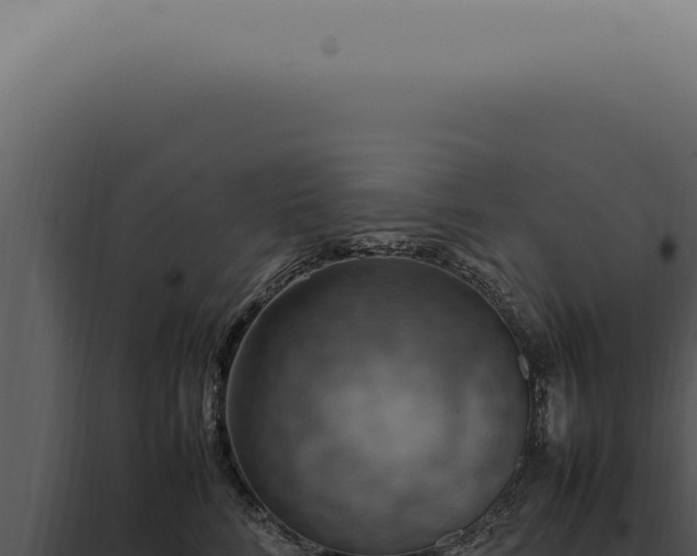X0000098000712200804011833