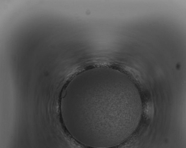 X0000098000715200804011833