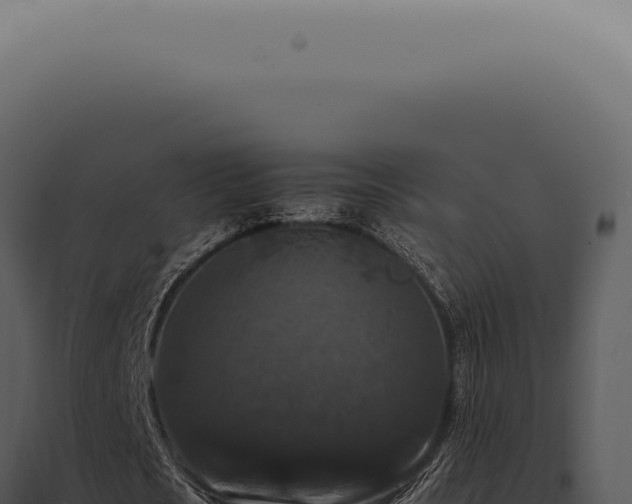 X0000098000721200804011832