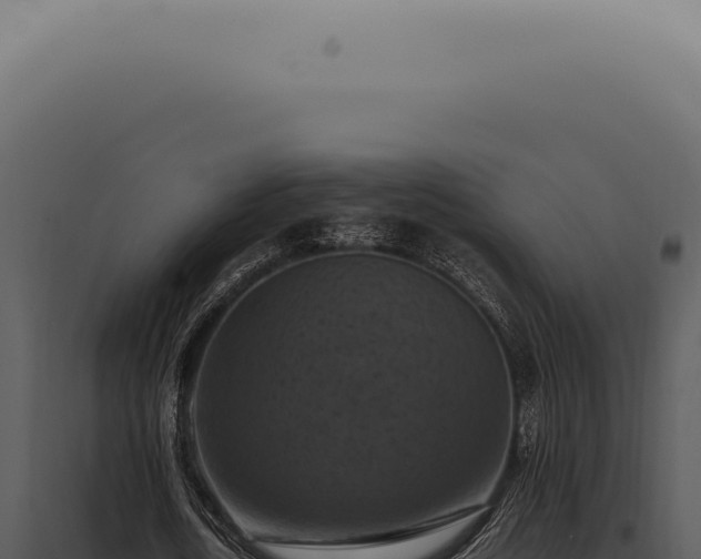 X0000098000722200804011832