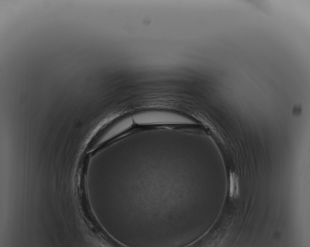 X0000098000723200804011832