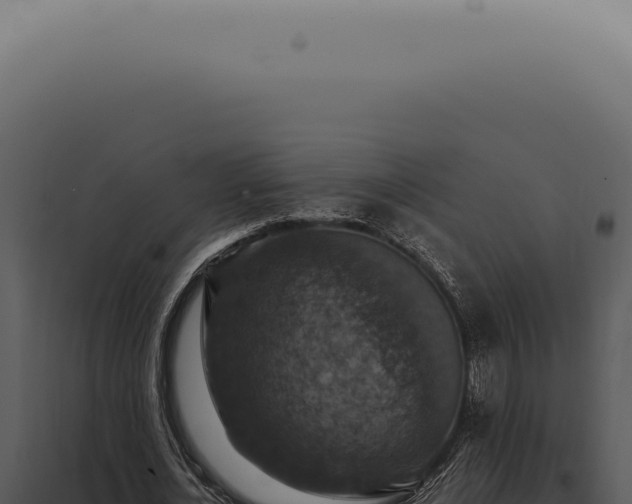 X0000098000724200804011832