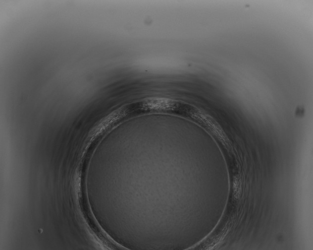 X0000098000725200804011832