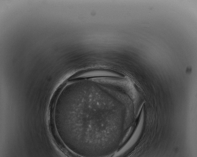 X0000098000726200804011832