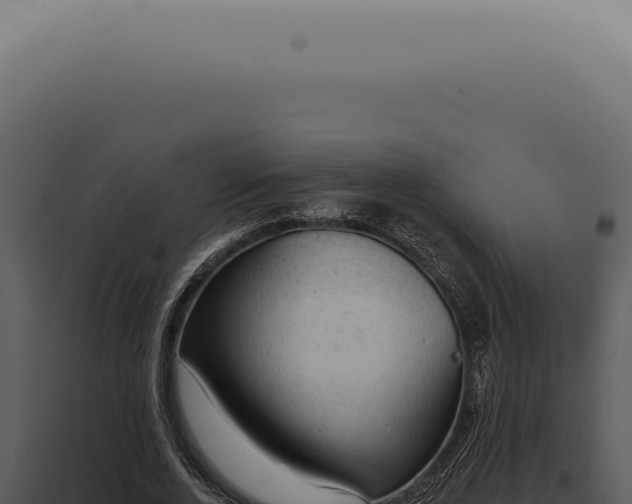 X0000098000728200804011832