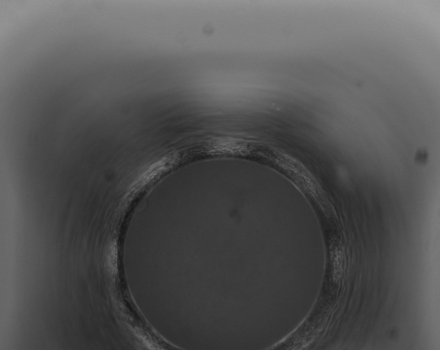 X0000098000729200804011832