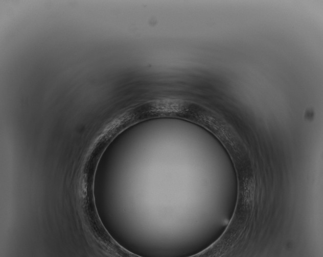 X0000098000731200804011832