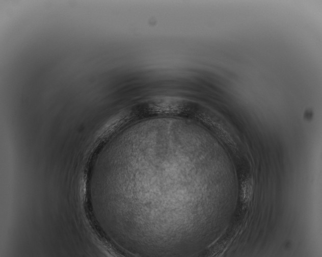 X0000098000733200804011832