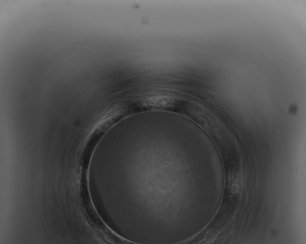 X0000098000735200804011832