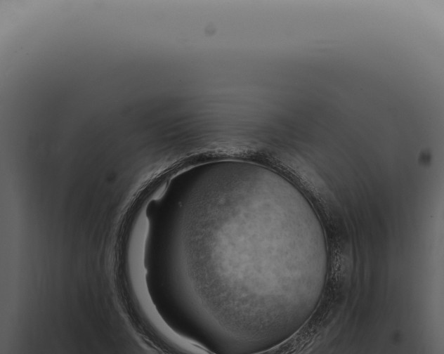 X0000098000736200804011832
