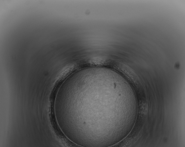 X0000098000738200804011832