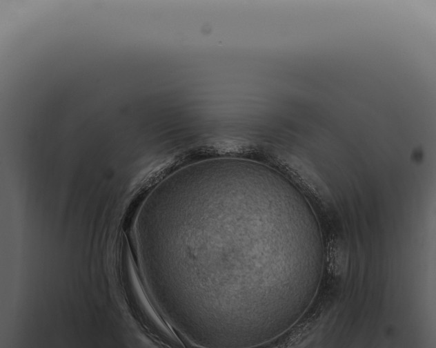 X0000098000740200804011832