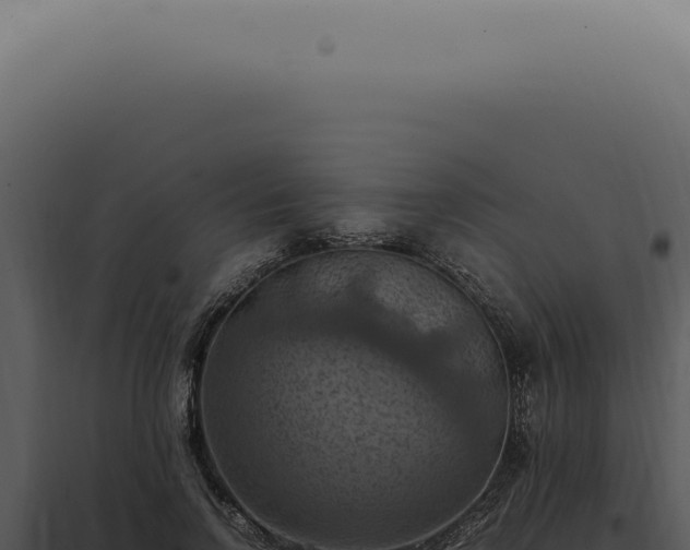 X0000098000742200804011832