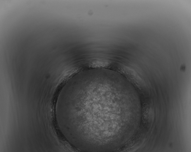X0000098000743200804011832