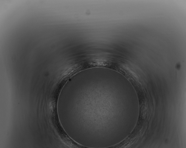 X0000098000747200804011832