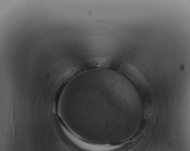 X0000098000748200804011832