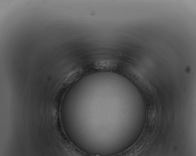 X0000098000749200804011832